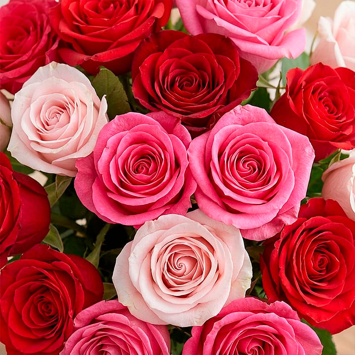 Floral Poem